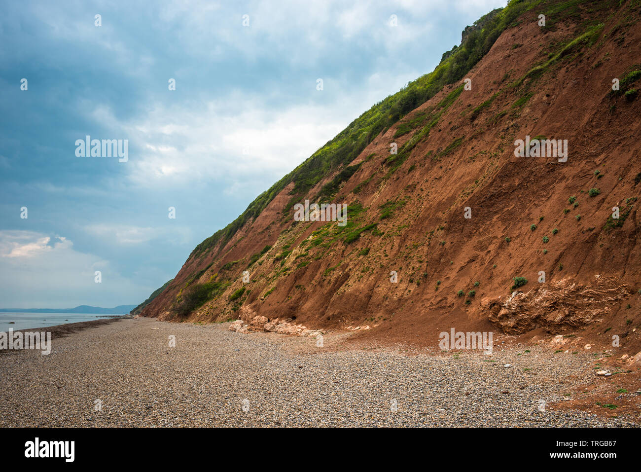 Falaises dorées et la plage de Branscombe sur la côte jurassique du Devon, Angleterre, Royaume-Uni. Banque D'Images