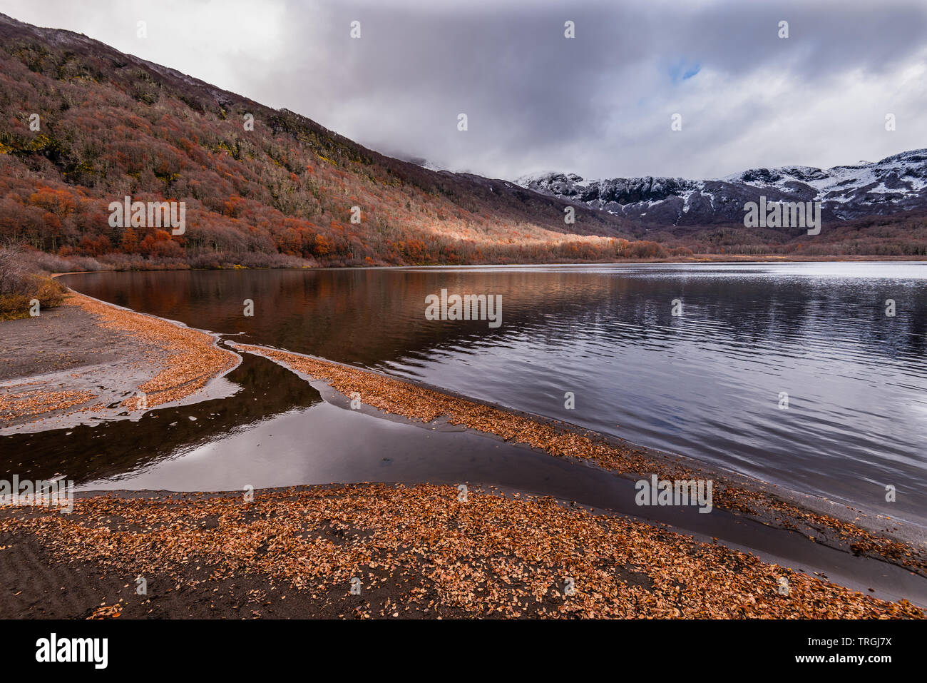 Laguna las Avutardas, Villarrica, Traverse, Parc National, Patagonie, Chili Banque D'Images