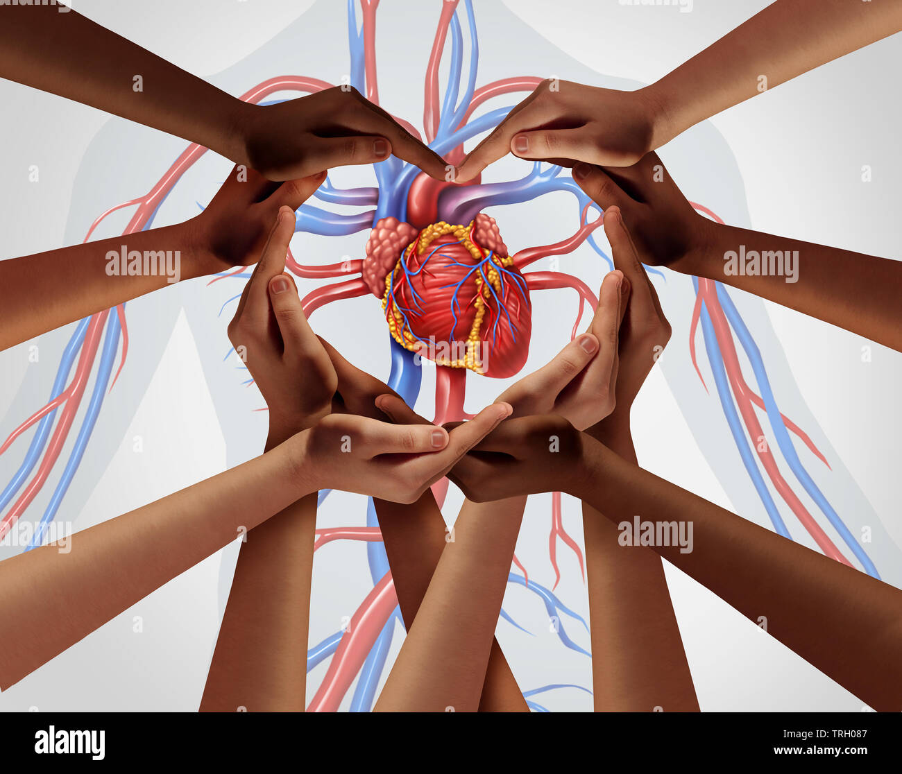 Coeur de l'homme et le soutien du groupe de recherche cardiaque que les mains en forme de symbole d'amour pour les soins de santé et d'assurance médicale symbole dans une 3D illustration styl Banque D'Images