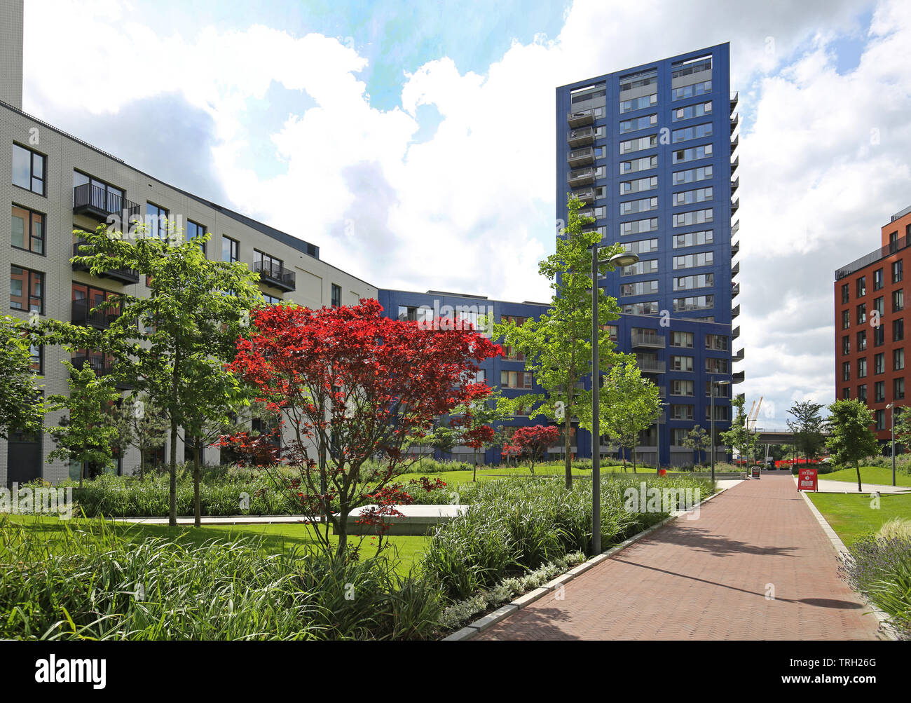 City Island le développement résidentiel sur la rivière Lea à Canning Town, Londres. Montre Botanic Square, Hercules House (à gauche), l'harmonie des capacités (centre). Banque D'Images