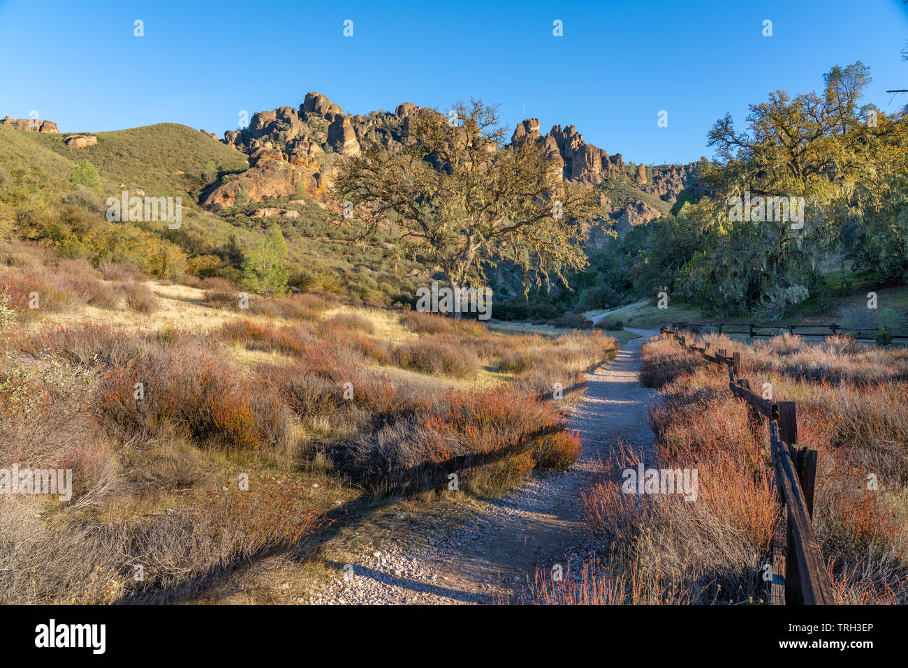 Juniper Canyon Trail head à Pinnacles National Park en Californie. Banque D'Images