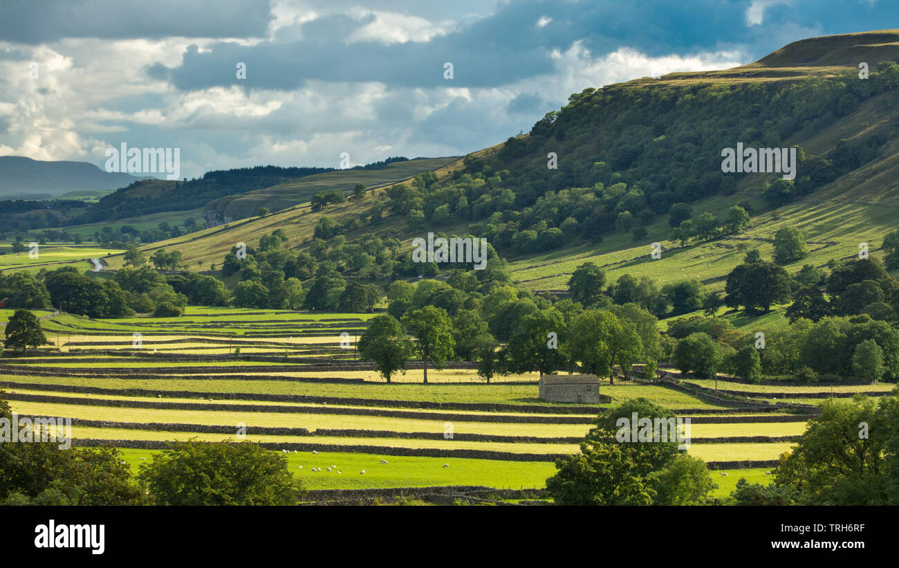 Wharfedale, Kettlewell, Yorkshire Dales National Park, England, UK Banque D'Images