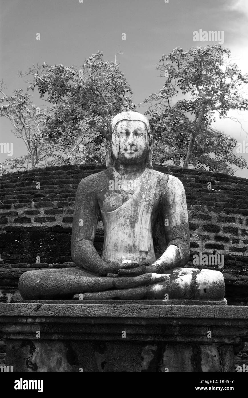 Statue de Bouddha assis à l'ancienne cité de Polonnaruwa au Sri Lanka, un règlement datant du 10e siècle. Banque D'Images