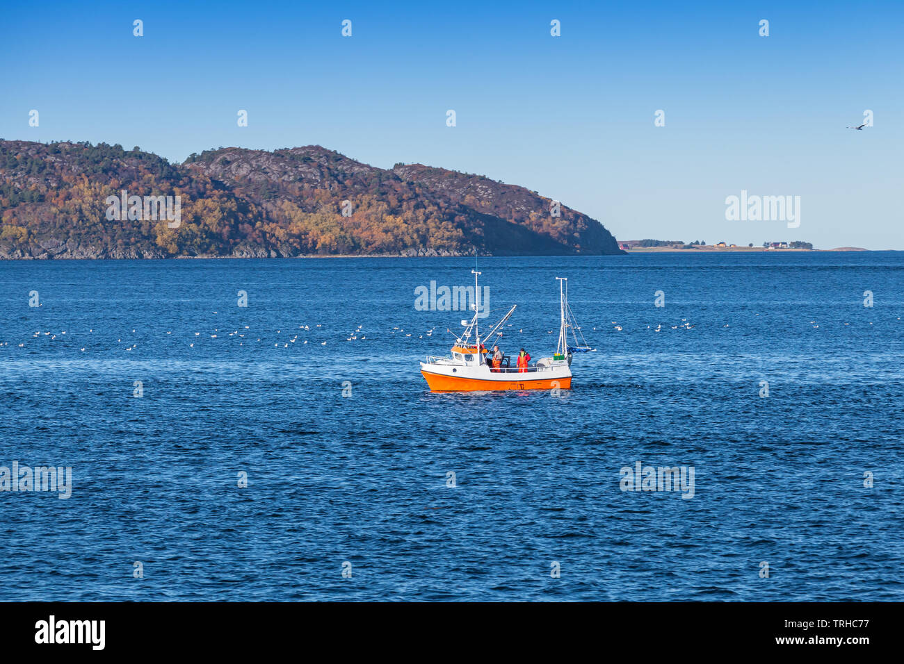 Bateau de pêche poursuit en mer de Norvège, Trondheim, Norvège région Banque D'Images