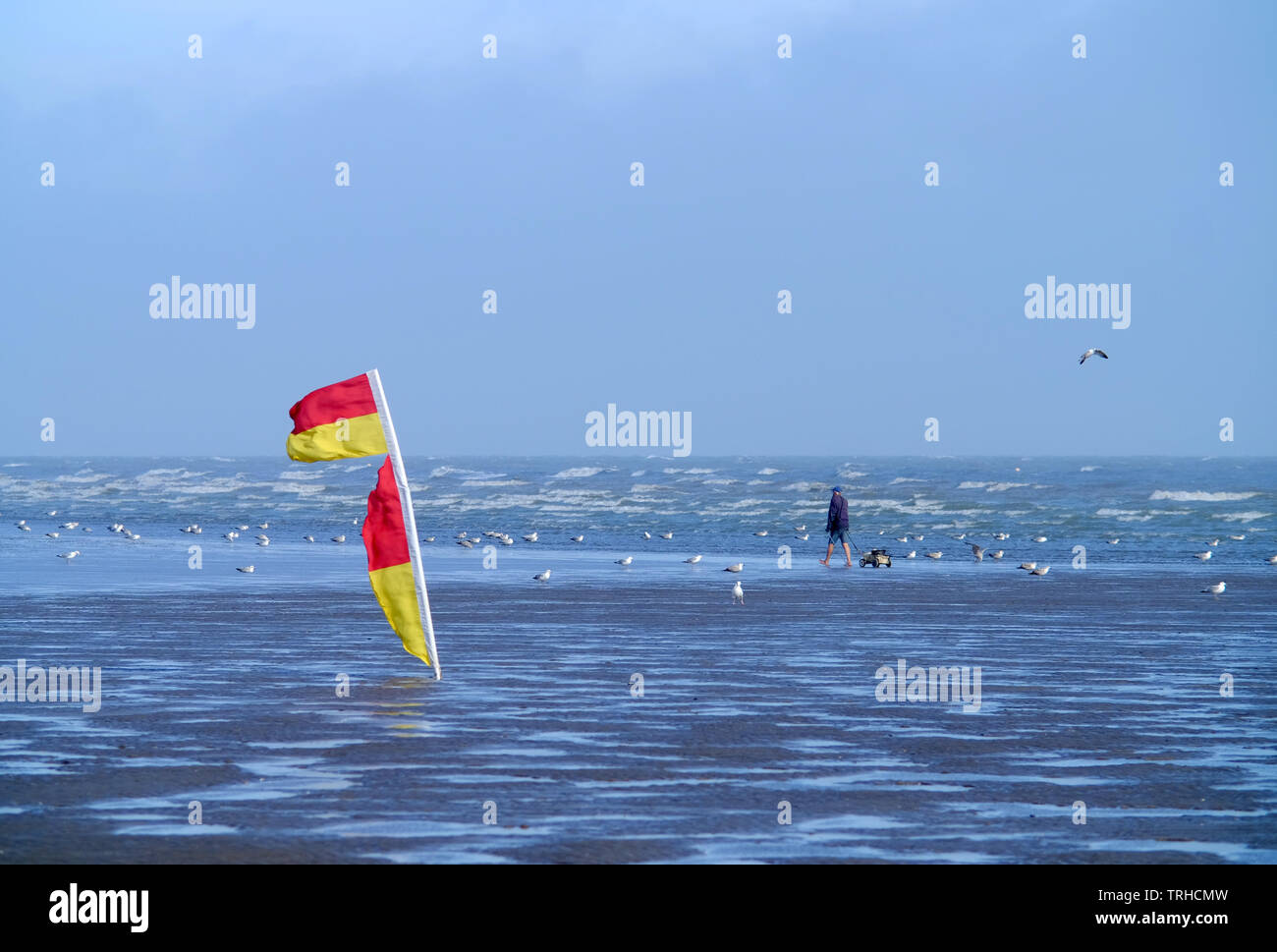 Le rouge et jaune echelle les drapeaux sur la plage à Camber Sands dénotant la présence de sauveteur et l'endroit sûr pour nager. Banque D'Images