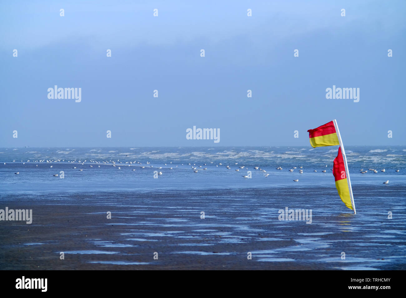 Le rouge et jaune echelle les drapeaux sur la plage à Camber Sands dénotant la présence de sauveteur et l'endroit sûr pour nager. Banque D'Images