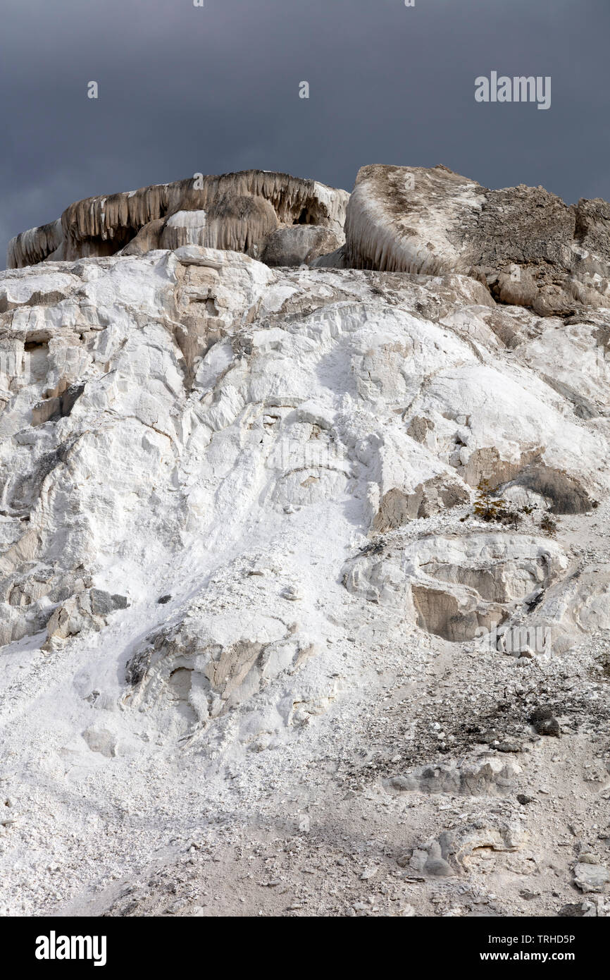 Caractéristiques thermiques, Mammoth Hot Springs, Parc National de Yellowstone, Montana, USA, par James D Coppinger/Dembinsky Assoc Photo Banque D'Images