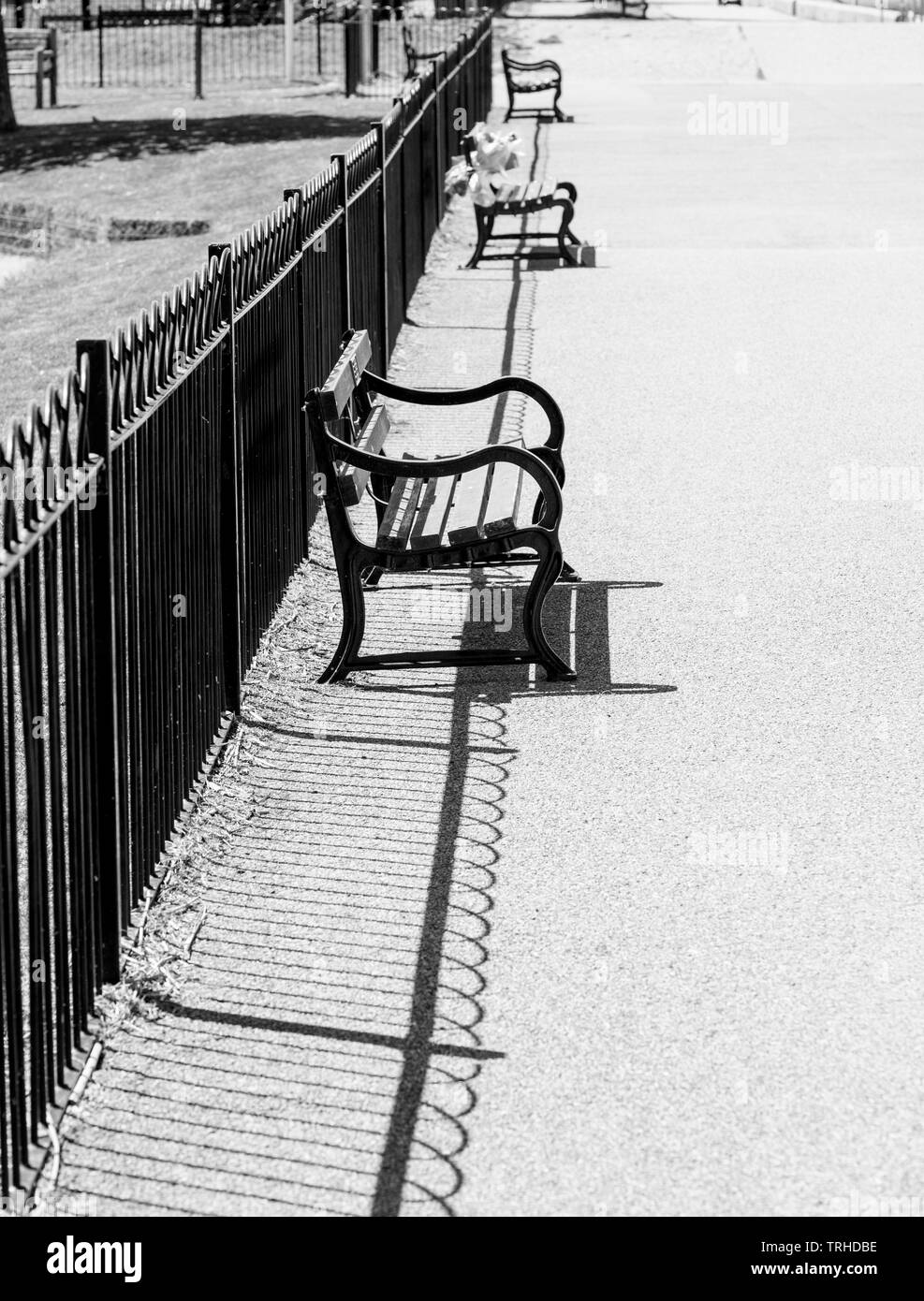 Noir et blanc à contraste élevé de l'image des bancs de parc sur prom Maldon Banque D'Images