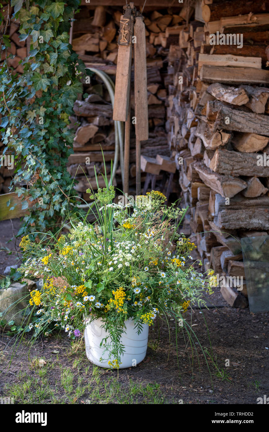 Fleurs sauvages en face d'un tas de bois Banque D'Images