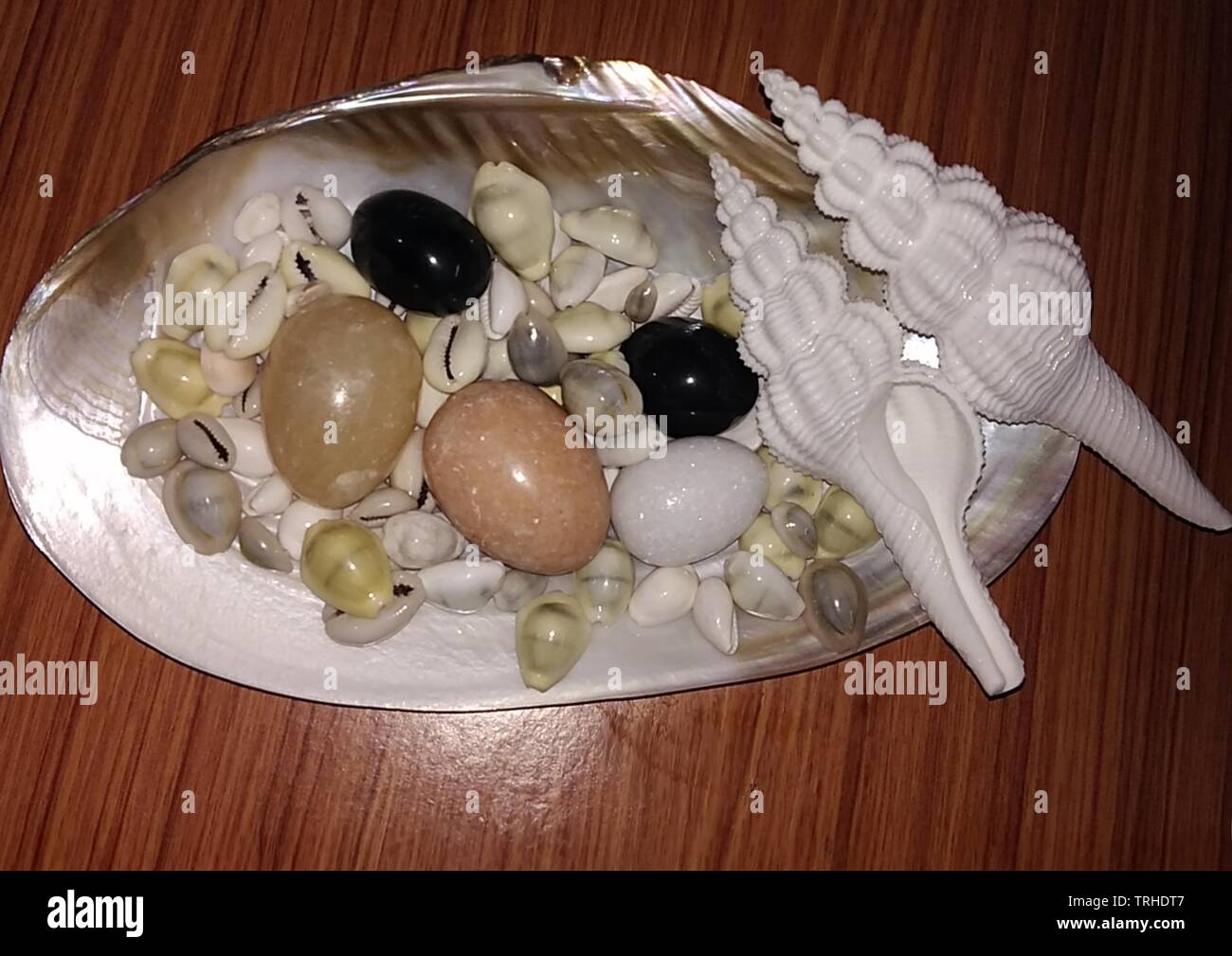 Variété d'oceanic objets d'une pearl shell. Il contient des billes ovales de blanc, noir et brun, couleur de sable blanc long de deux coquilles et de nombreux mini-shell Banque D'Images
