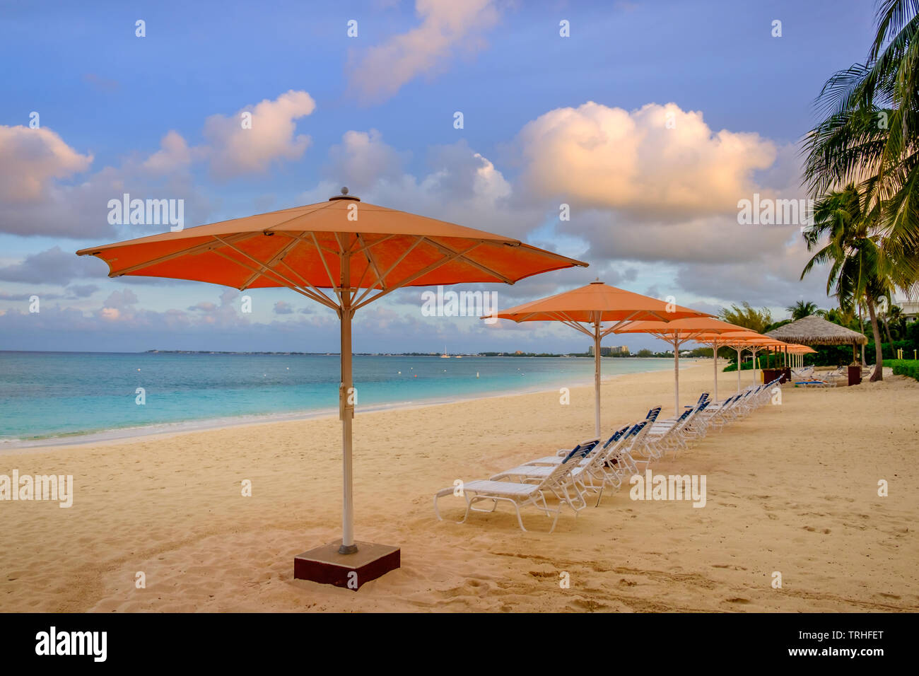 Des chaises longues et des parasols donnant sur la mer des Caraïbes sur Seven Mile Beach, Grand Cayman, Cayman Islands Banque D'Images