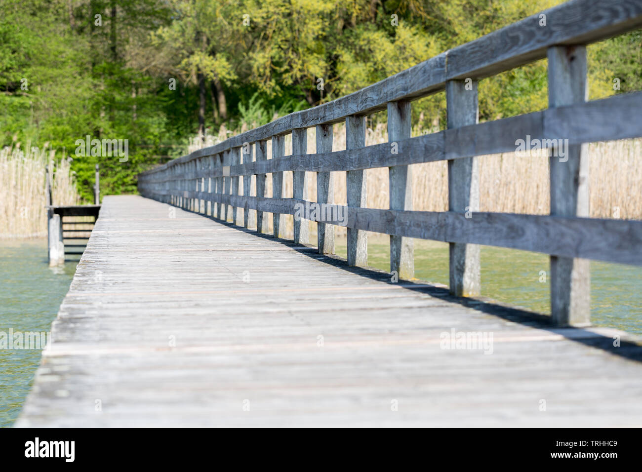 Jetée en bois / passerelle au lac Ammersee, photographié à partir de l'eau vers la terre. Rampes en bois sur la gauche, des arbres et arbustes dans l'arrière-plan. Banque D'Images