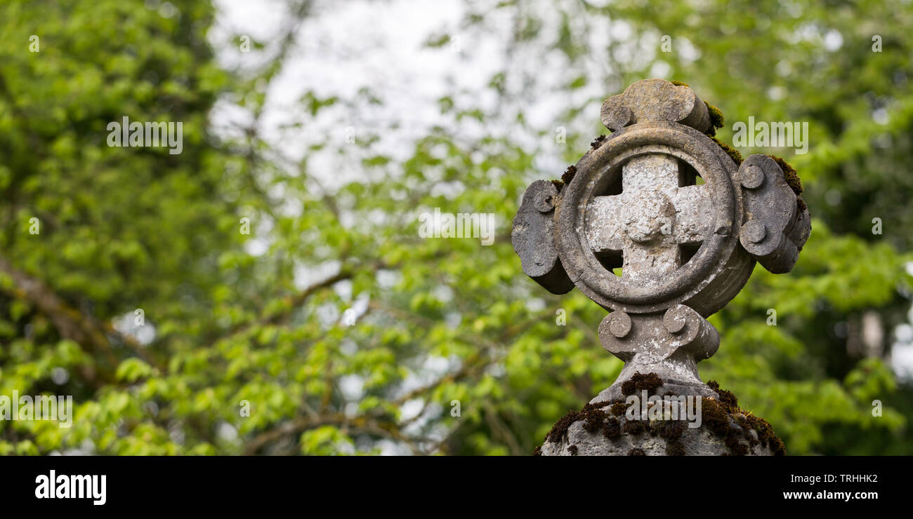 Close up de l'ancienne croix en pierre, situé dans un cimetière. Les arbres en arrière-plan. Espace libre pour le texte, format de carte. Symbole religieux. Dieu, spirituelle Banque D'Images