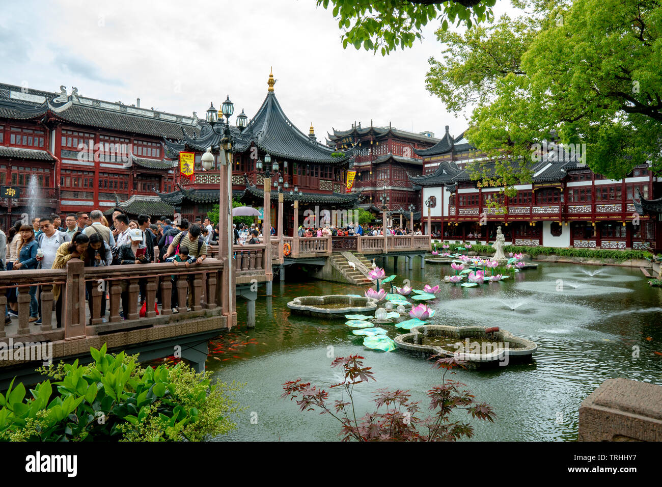 La Chine, Shanghai, 8 mai 2019 - Le jardin Yuyuan à Shanghai poisson koi étang touristique du printemps été Banque D'Images