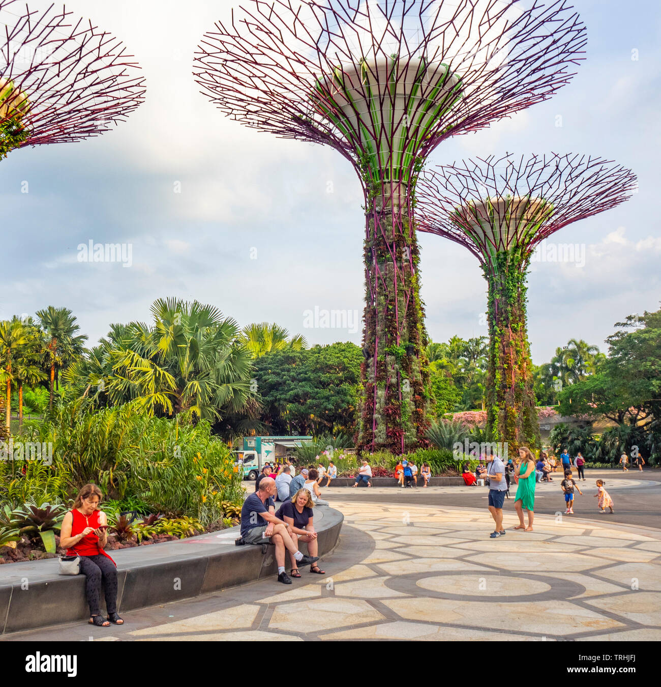 Les touristes à pied entre les arbres artificiels dans l'Supertree Grove jardin vertical dans les jardins de la baie de Singapour. Banque D'Images