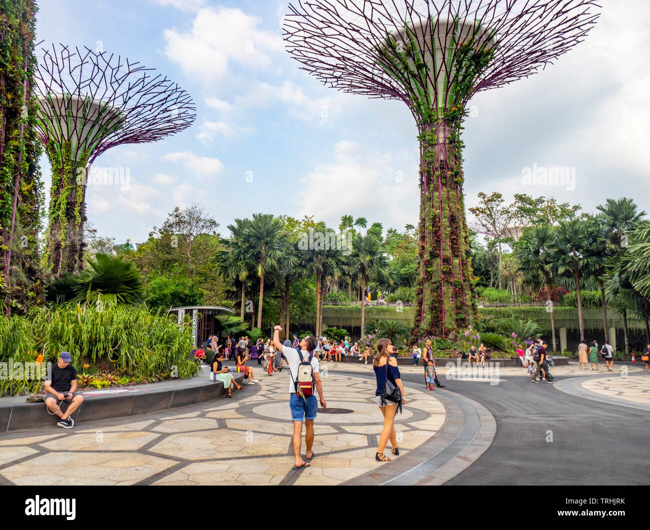 Les touristes à pied entre les arbres artificiels dans l'Supertree Grove jardin vertical dans les jardins de la baie de Singapour. Banque D'Images