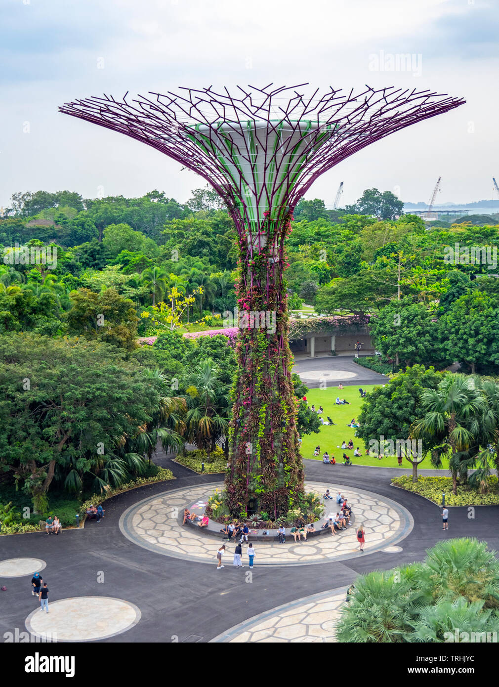 Les touristes à pied entre les arbres artificiels dans l'Supertree Grove jardin vertical dans les jardins de la baie de Singapour. Banque D'Images