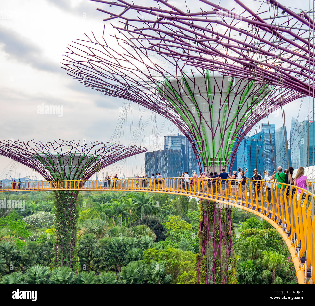 Les touristes sur l'OCBC passerelle surélevée Skyway entre deux des Supertrees Supertree Grove dans les jardins au bord de la baie de Singapour. Banque D'Images