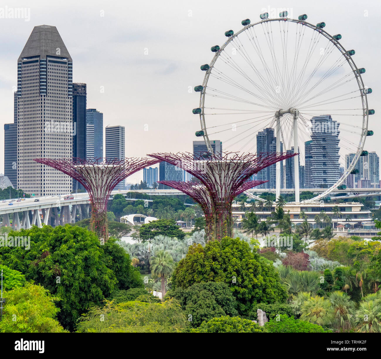 La grande roue Singapore Flyer et Millenia Tower et Supertree Grove jardin vertical dans les jardins de la baie de Singapour. Banque D'Images