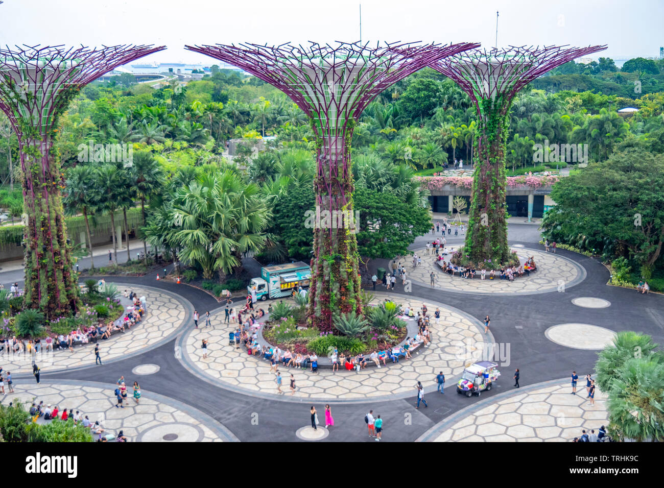 Les touristes à pied entre les arbres artificiels dans l'Supertree Grove jardin vertical dans les jardins de la baie de Singapour. Banque D'Images