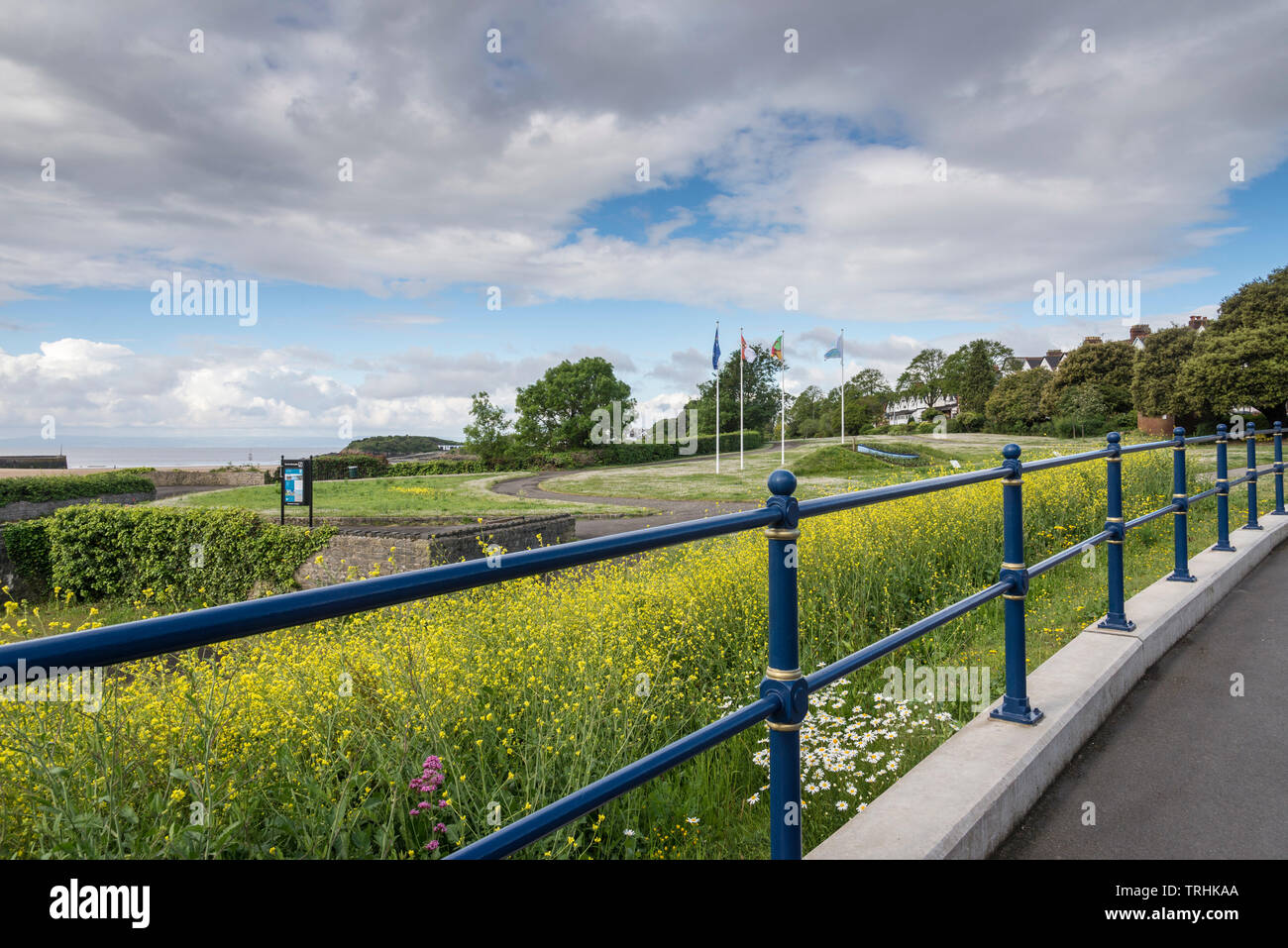 Parade Gardens, un petit jardin public dans la région de Barry. Au premier plan sont colorés de fleurs sauvages. Au-delà d'eux, je vois des drapeaux pour les villes jumelées. Banque D'Images