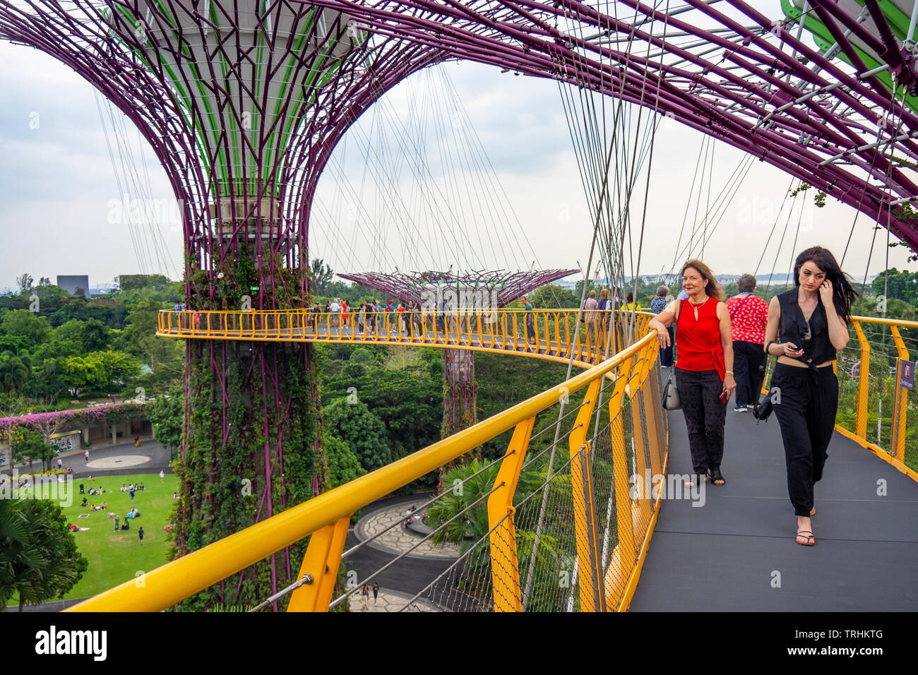 Les touristes sur l'OCBC passerelle surélevée Skyway entre deux des Supertrees Supertree Grove dans les jardins au bord de la baie de Singapour. Banque D'Images