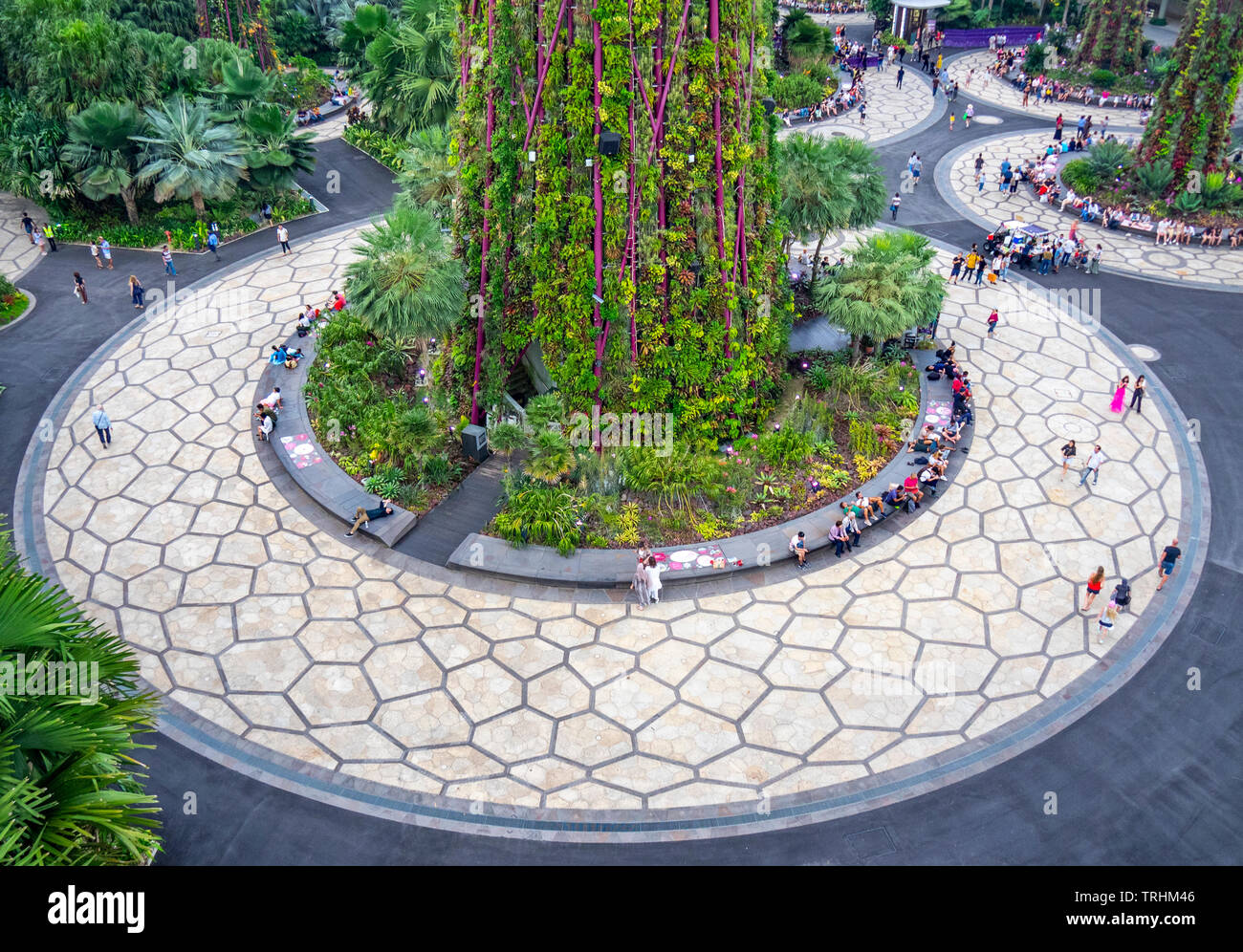 Les touristes à pied entre les arbres artificiels dans l'Supertree Grove jardin vertical dans les jardins de la baie de Singapour. Banque D'Images