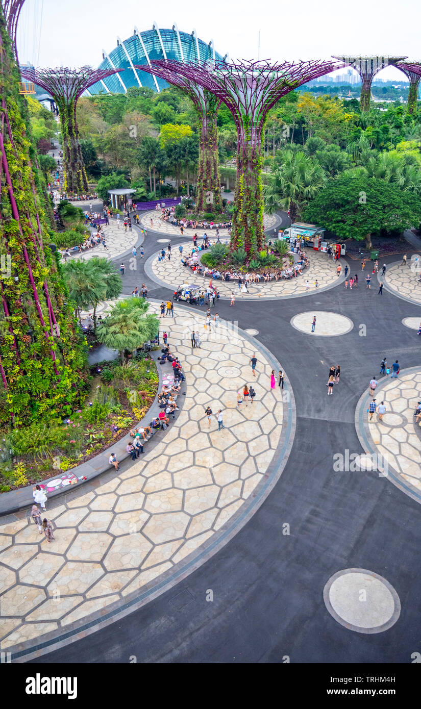 Les touristes à pied entre les arbres artificiels dans l'Supertree Grove jardin vertical dans les jardins de la baie de Singapour. Banque D'Images