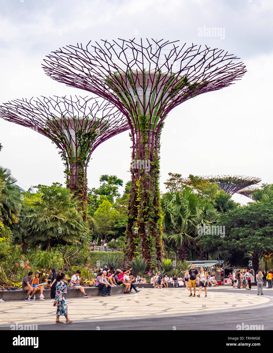 Les touristes à pied entre les arbres artificiels dans l'Supertree Grove jardin vertical dans les jardins de la baie de Singapour. Banque D'Images