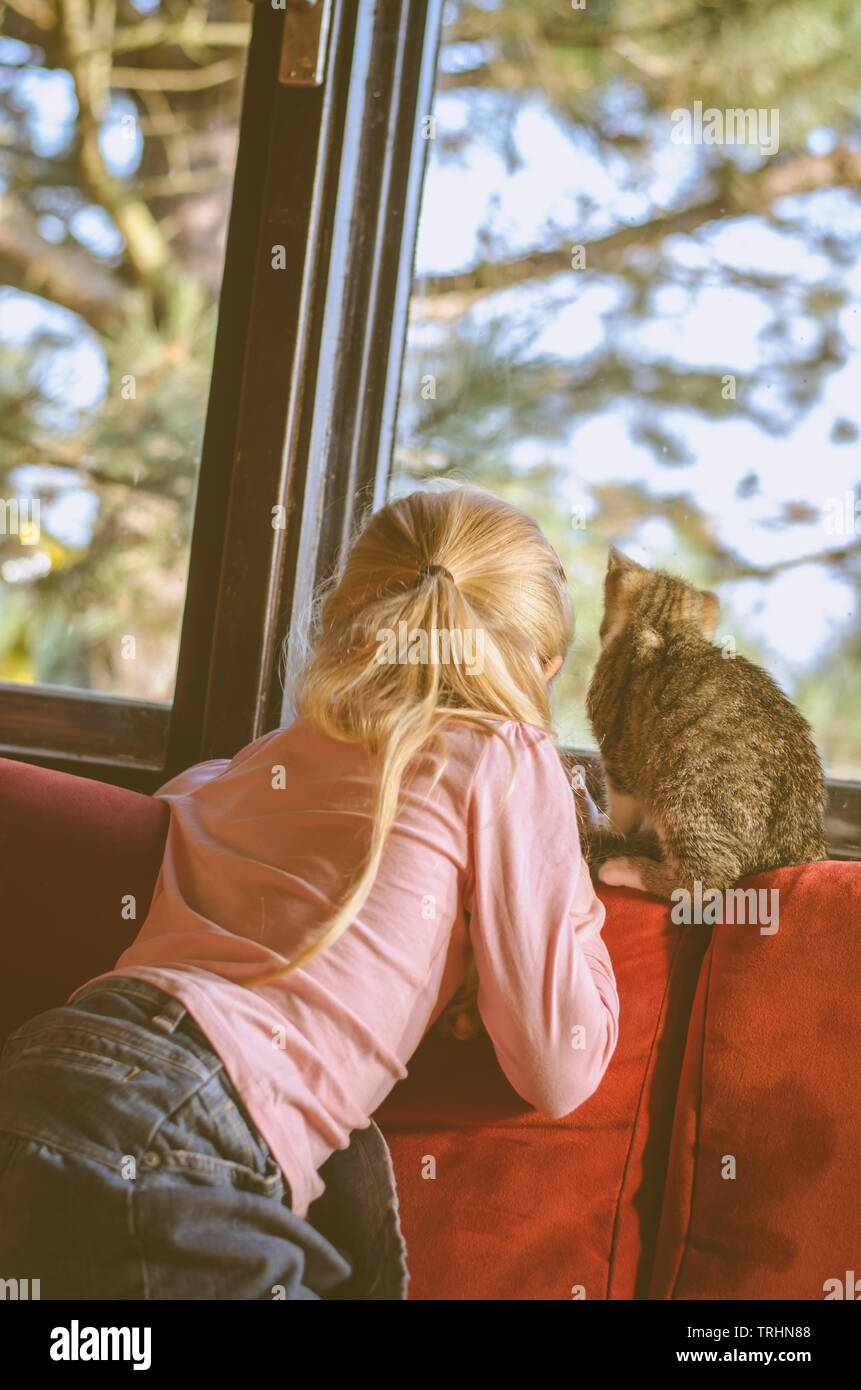 Petite fille blonde tenant un chat animal et regardant par la fenêtre en même temps Banque D'Images