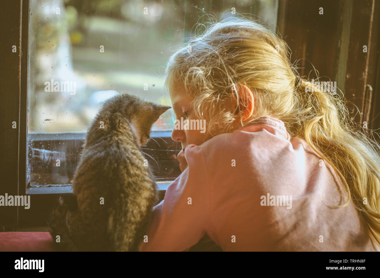 Petite fille blonde tenant un chat animal et regardant par la fenêtre en même temps Banque D'Images