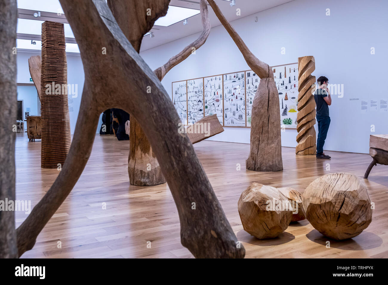 Sculptures, exposition de David Nash, National Museum of Wales, Cardiff, Pays de Galles Banque D'Images