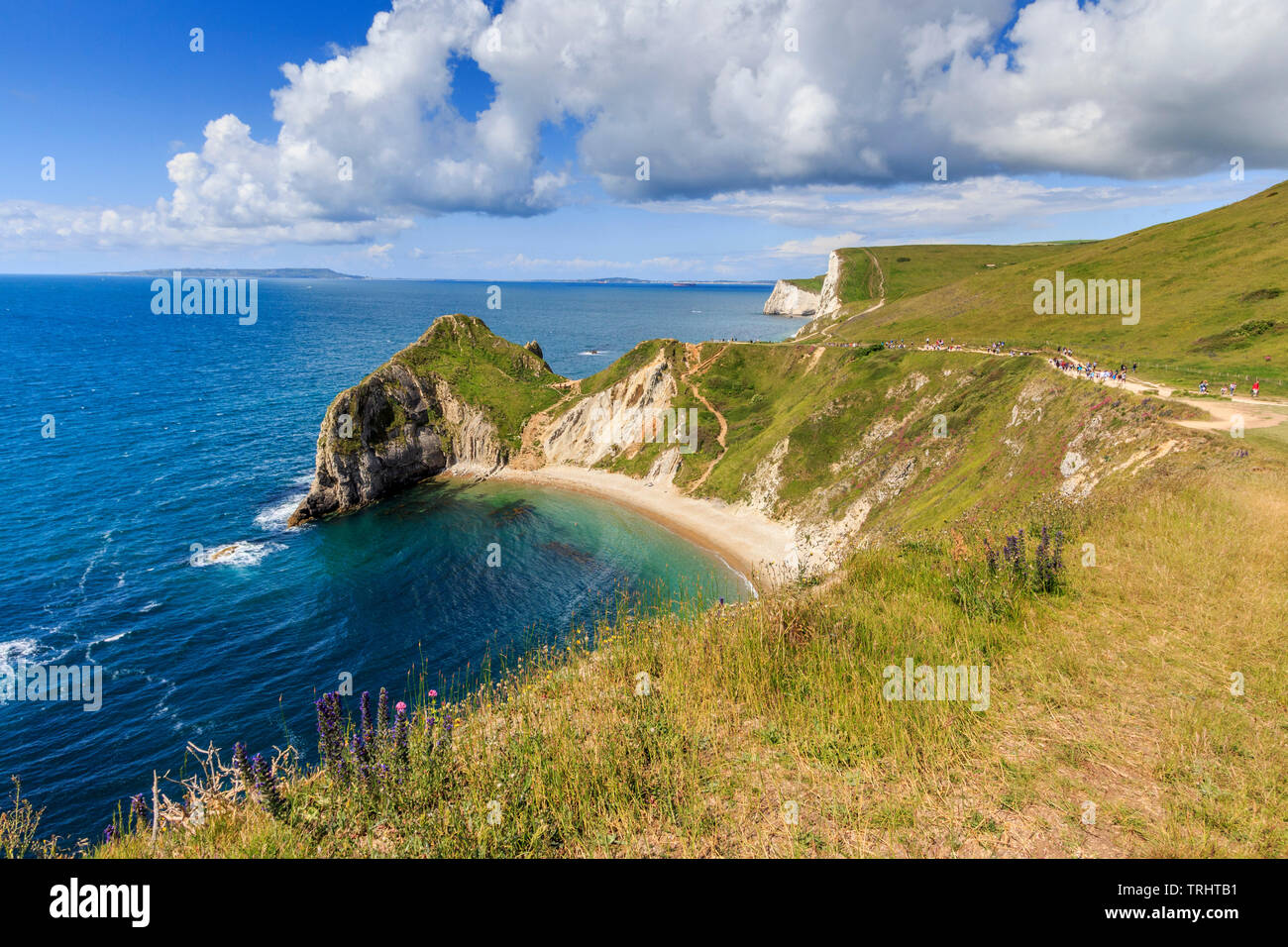 Man o war bay près de durdle door, Jurassic Coast, côte sud, dorset, England, UK, FR Banque D'Images