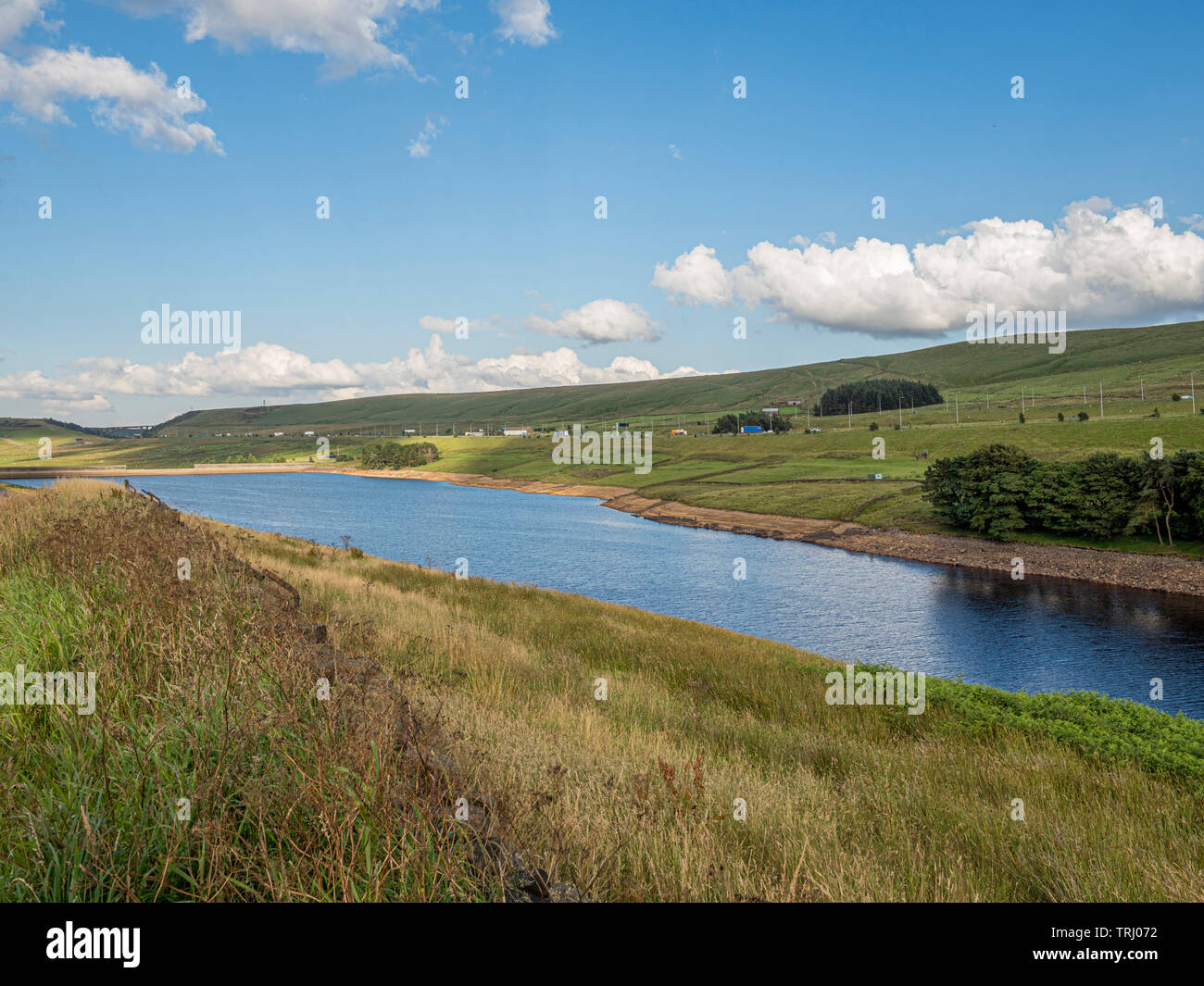 Bois stand réservoir avec de l'autoroute M62 en arrière-plan, West Yorkshire, Royaume-Uni. Banque D'Images