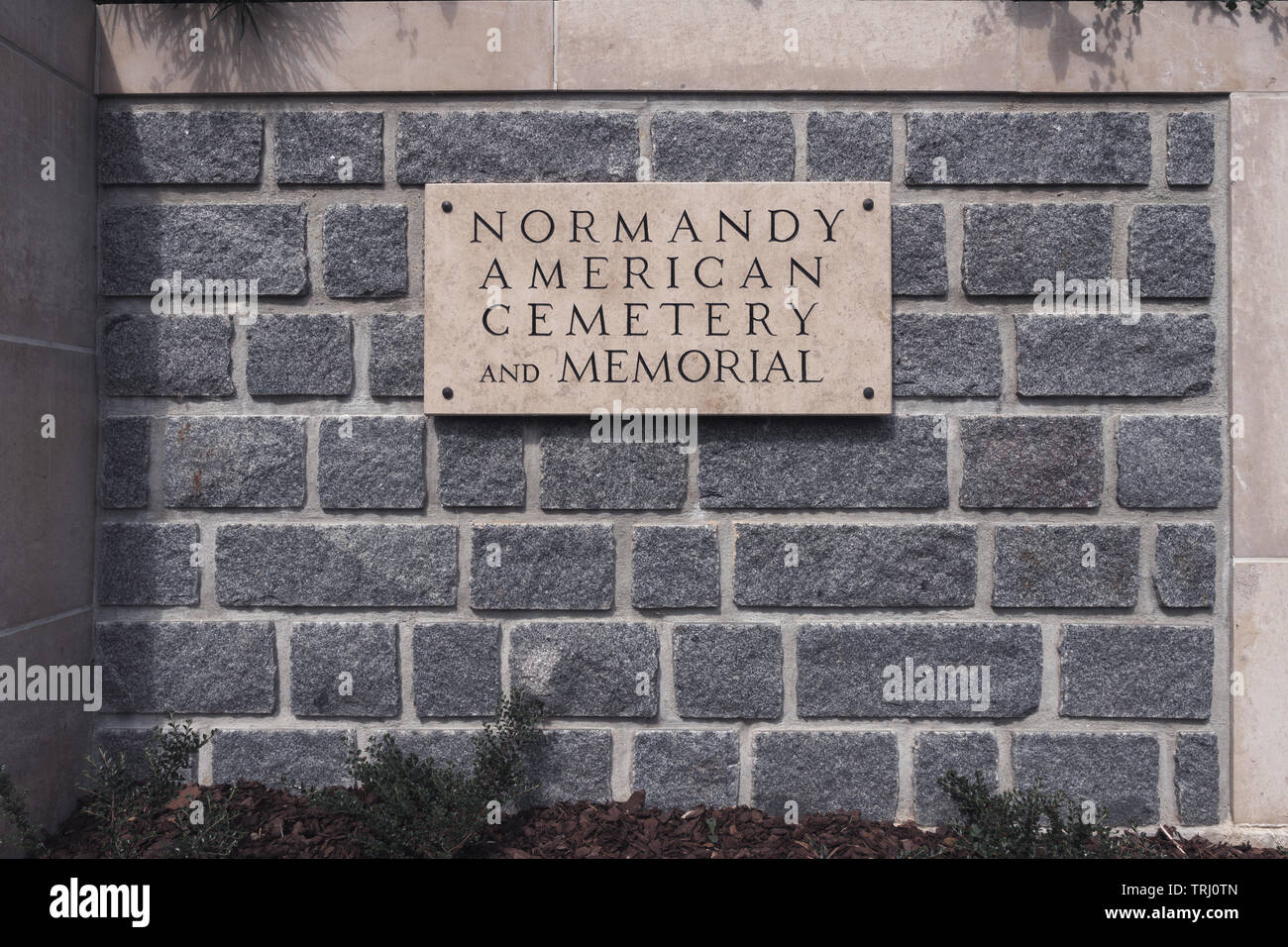 Cimetière Américain de Normandie Banque D'Images
