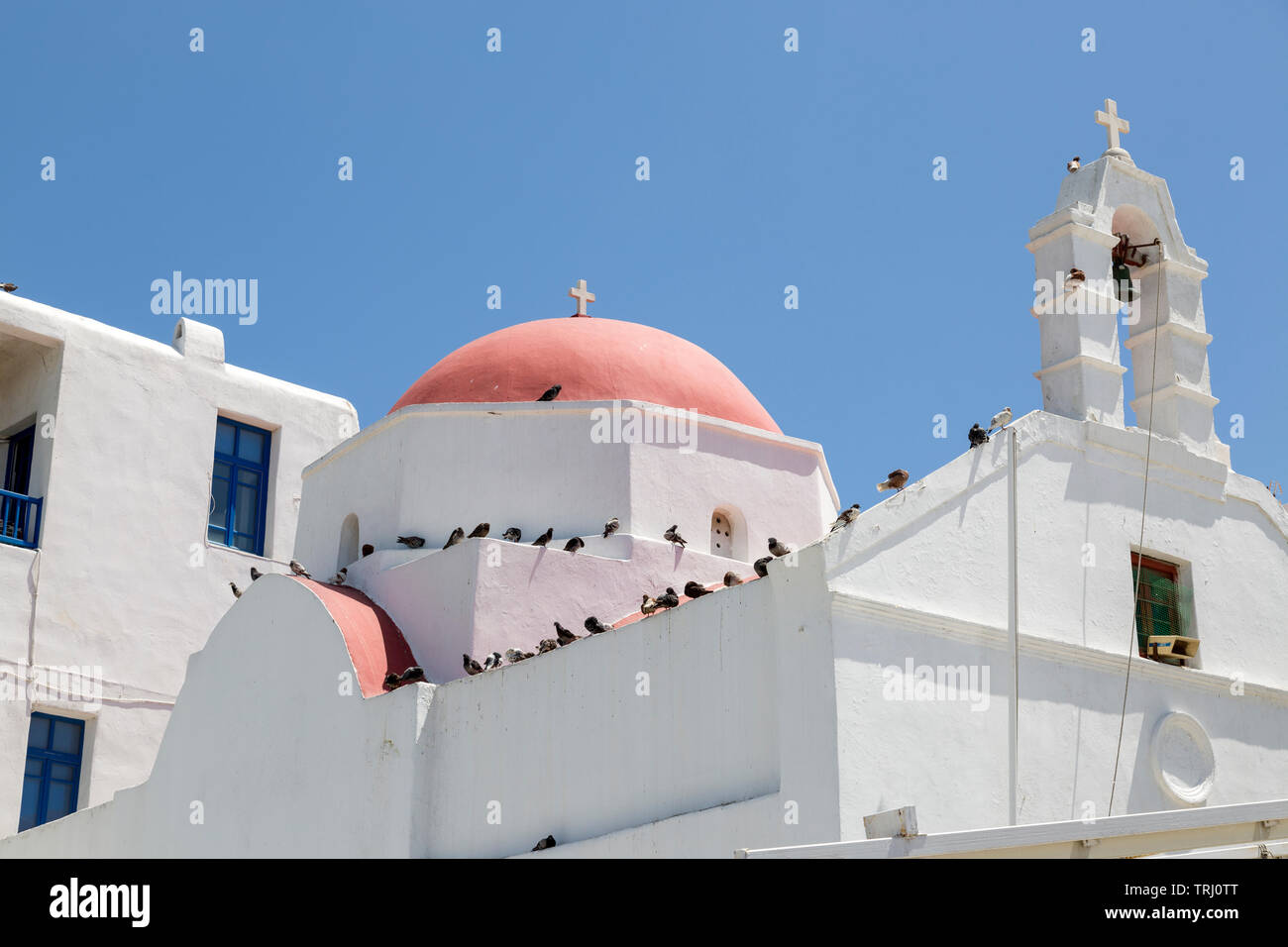 De dôme rouge et clocher de l'église bordée de pigeons. L'une des 365 églises sur l'île de Mykonos dans les Cyclades de la Grèce. Banque D'Images
