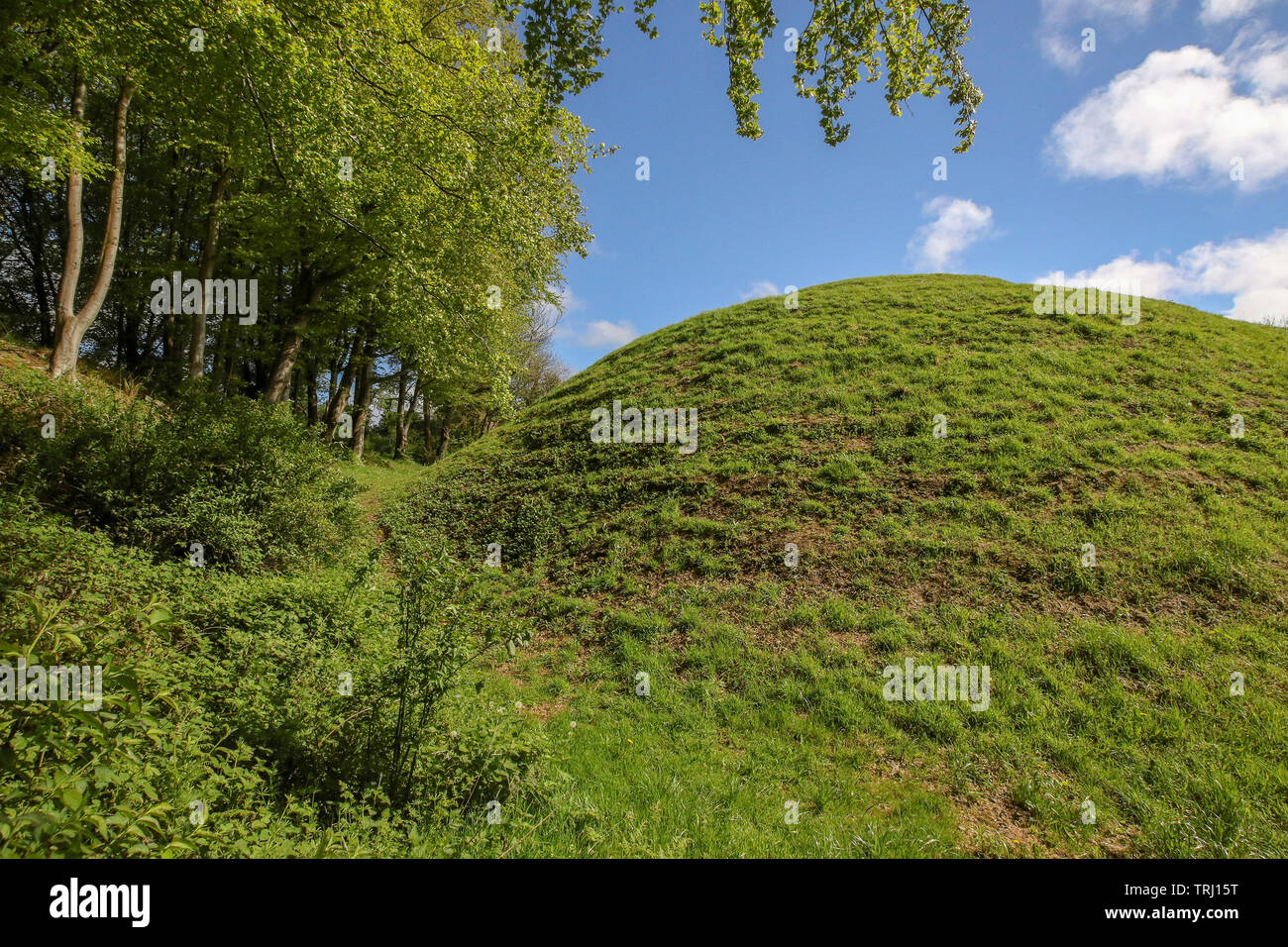 Mountsandel en bois et la butte de terre de l'âge de fer fort connu sous le nom de mont Sandel Fort à Coleraine, en Irlande du Nord. Banque D'Images