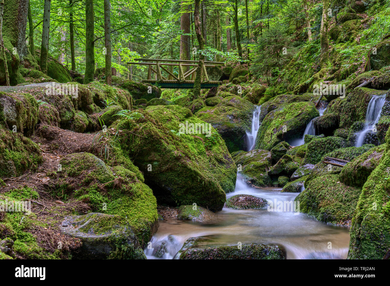 Sentier de randonnée romantique sauvage célèbre Gertelbach le long des  cascades, Forêt Noire, Allemagne Photo Stock - Alamy