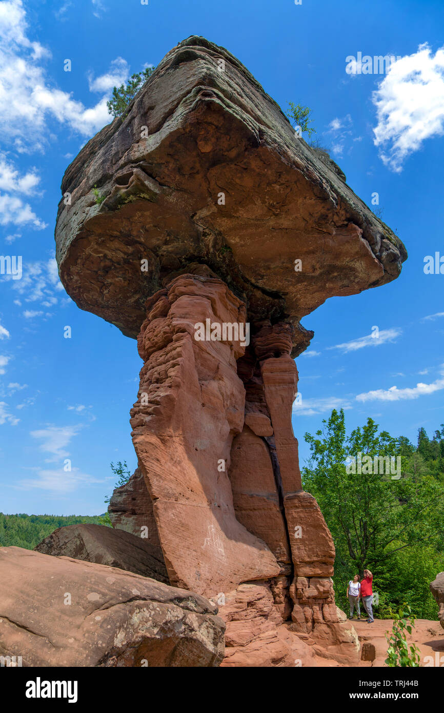 Table du diable (allemand : Teufelstisch), formation de grès rouge à biospere réserver de la forêt du Palatinat, Hinterweidenthal, Rhénanie-Palatinat, Allemagne Banque D'Images