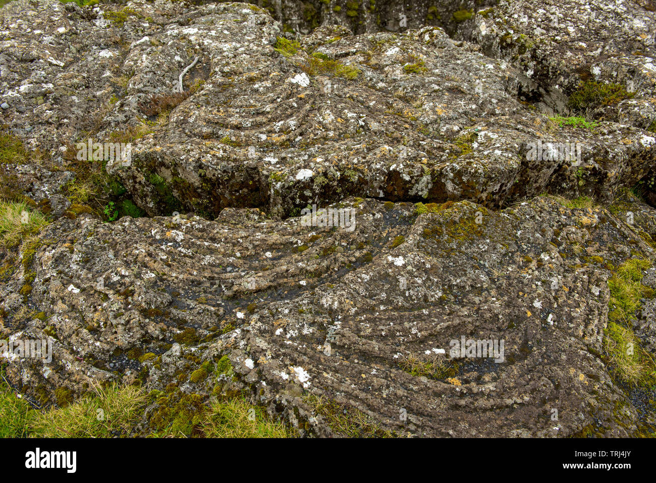 Petit rift en divisant le lave-américain et continental eurasien de plaques tectoniques, l'Islande Silfra S.p.a. Banque D'Images