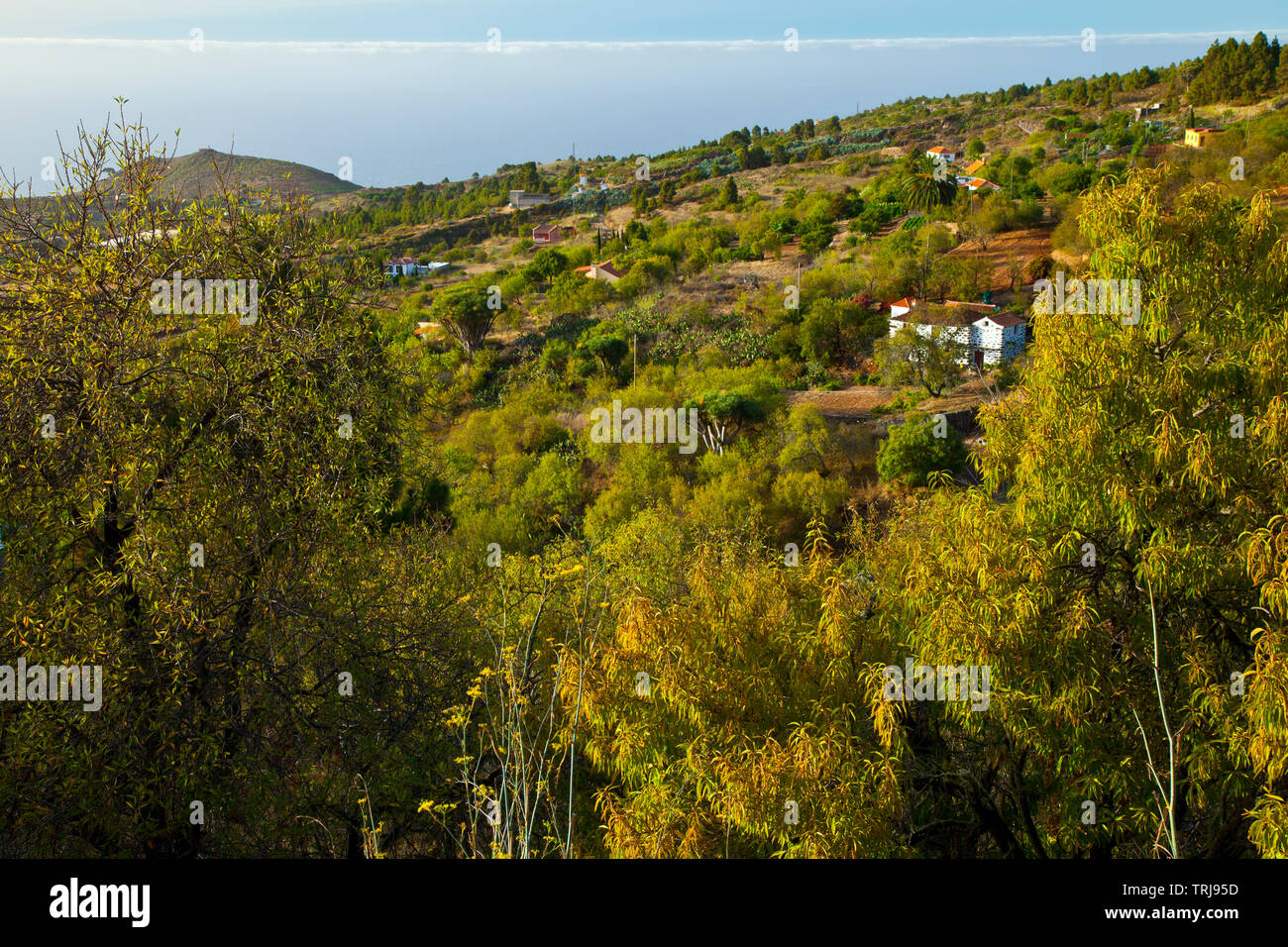 Paisaje con rural Casa agrícola. Pueblo El Paso. Isla La Palma. Pronvincia Santa Cruz. Islas Canarias. España Banque D'Images