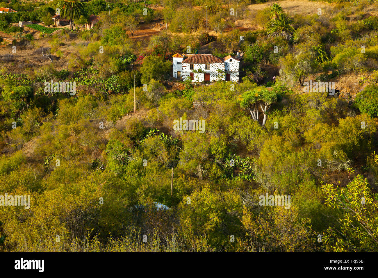 Paisaje con rural Casa agrícola. Pueblo El Paso. Isla La Palma. Pronvincia Santa Cruz. Islas Canarias. España Banque D'Images