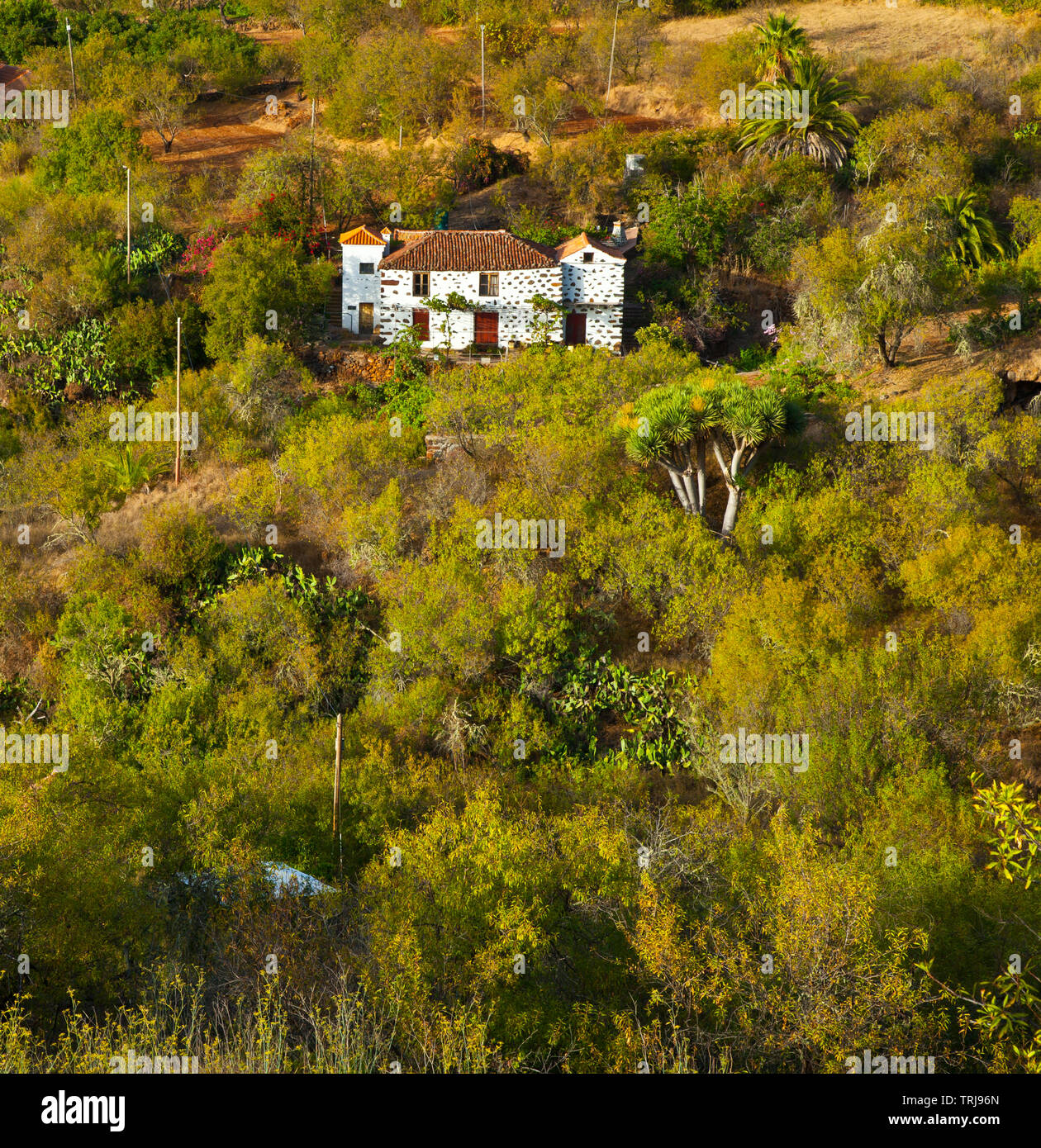 Paisaje con rural Casa agrícola. Pueblo El Paso. Isla La Palma. Pronvincia Santa Cruz. Islas Canarias. España Banque D'Images