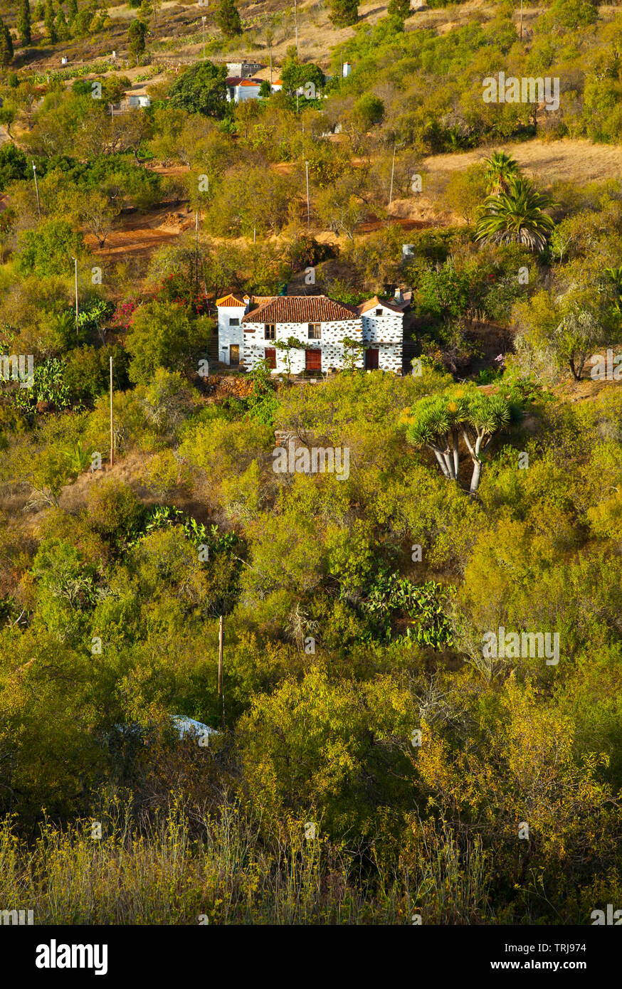 Paisaje con rural Casa agrícola. Pueblo El Paso. Isla La Palma. Pronvincia Santa Cruz. Islas Canarias. España Banque D'Images