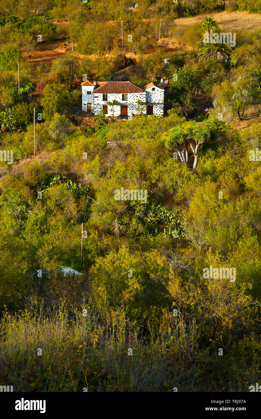 Paisaje con rural Casa agrícola. Pueblo El Paso. Isla La Palma. Pronvincia Santa Cruz. Islas Canarias. España Banque D'Images