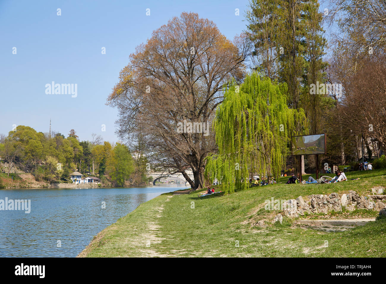 TURIN, ITALIE - 31 mars 2019 - chemin de la rivière Po avec des arbres et des personnes dans une journée ensoleillée, ciel bleu dans le Piémont, Turin, Italie. Banque D'Images
