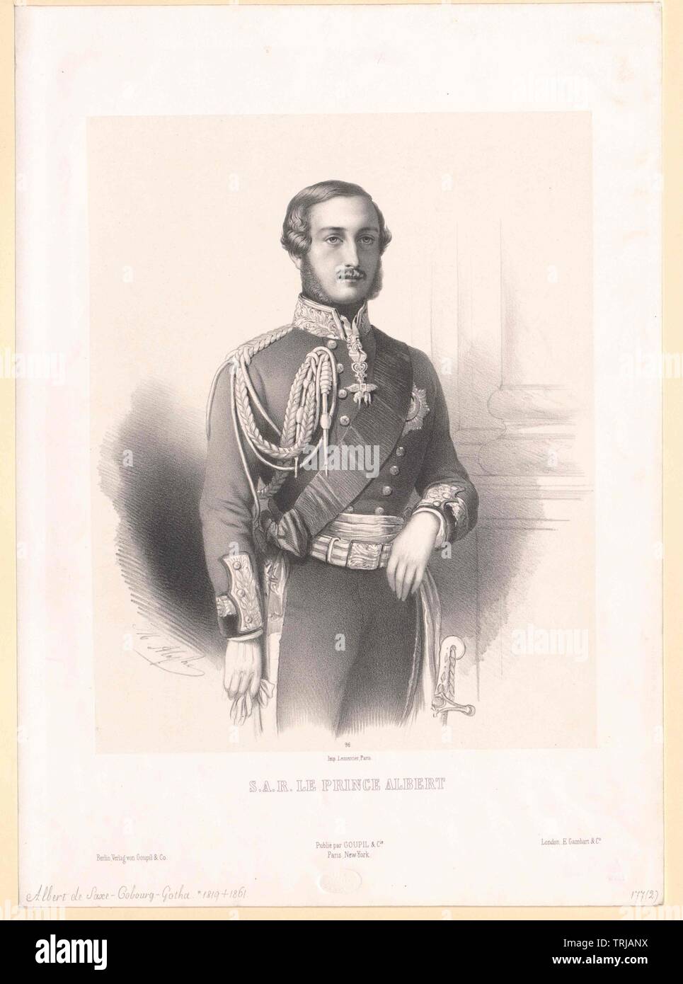 Albert, Prince consort d'Angleterre, duc de Saxe, prince de Saxe-Cobourg-Gotha,-Additional-Rights Clearance-Info-Not-Available Banque D'Images