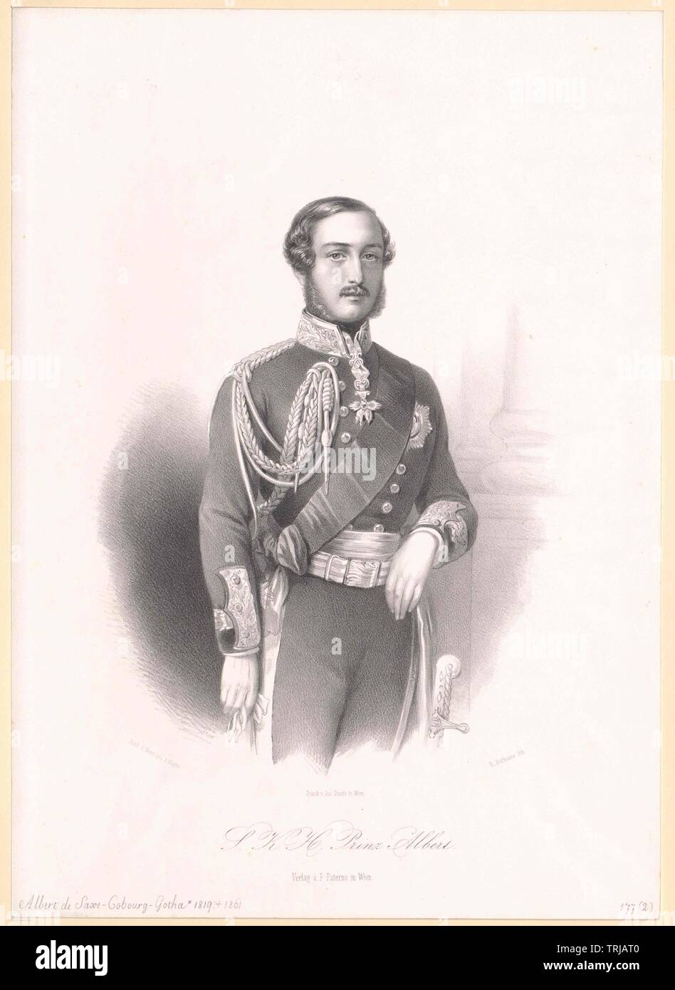 Albert, Prince consort d'Angleterre, duc de Saxe, prince de Saxe-Cobourg-Gotha,-Additional-Rights Clearance-Info-Not-Available Banque D'Images