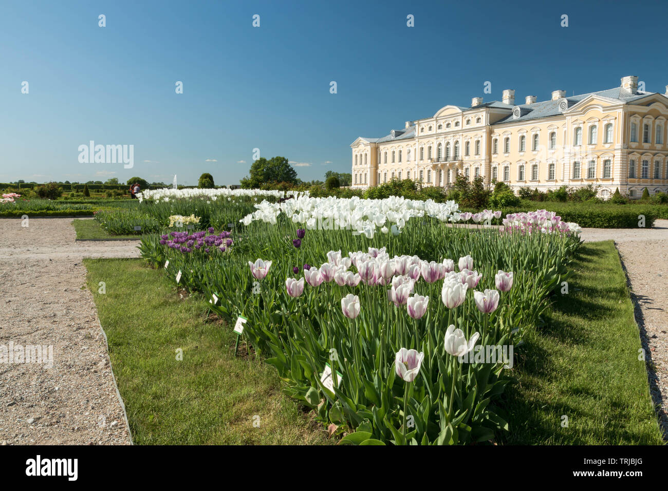 Le palais de Rundale, paroisse de Rundāle, Lettonie Banque D'Images