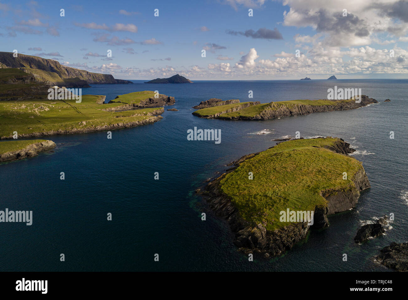 Falaises de Bray Head sur l'île de Valentia, comté de Kerry, Irlande Banque D'Images